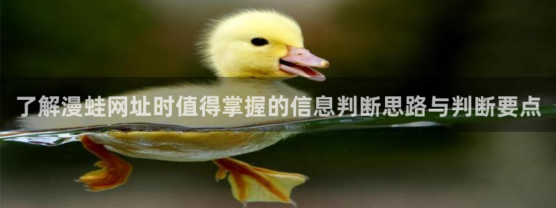 漫蛙漫画最新页面:了解漫蛙网址时值得掌握的信息判断思路与判断要点